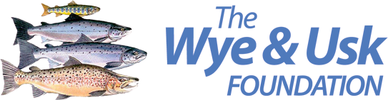 The Wye and Usk foundation logo