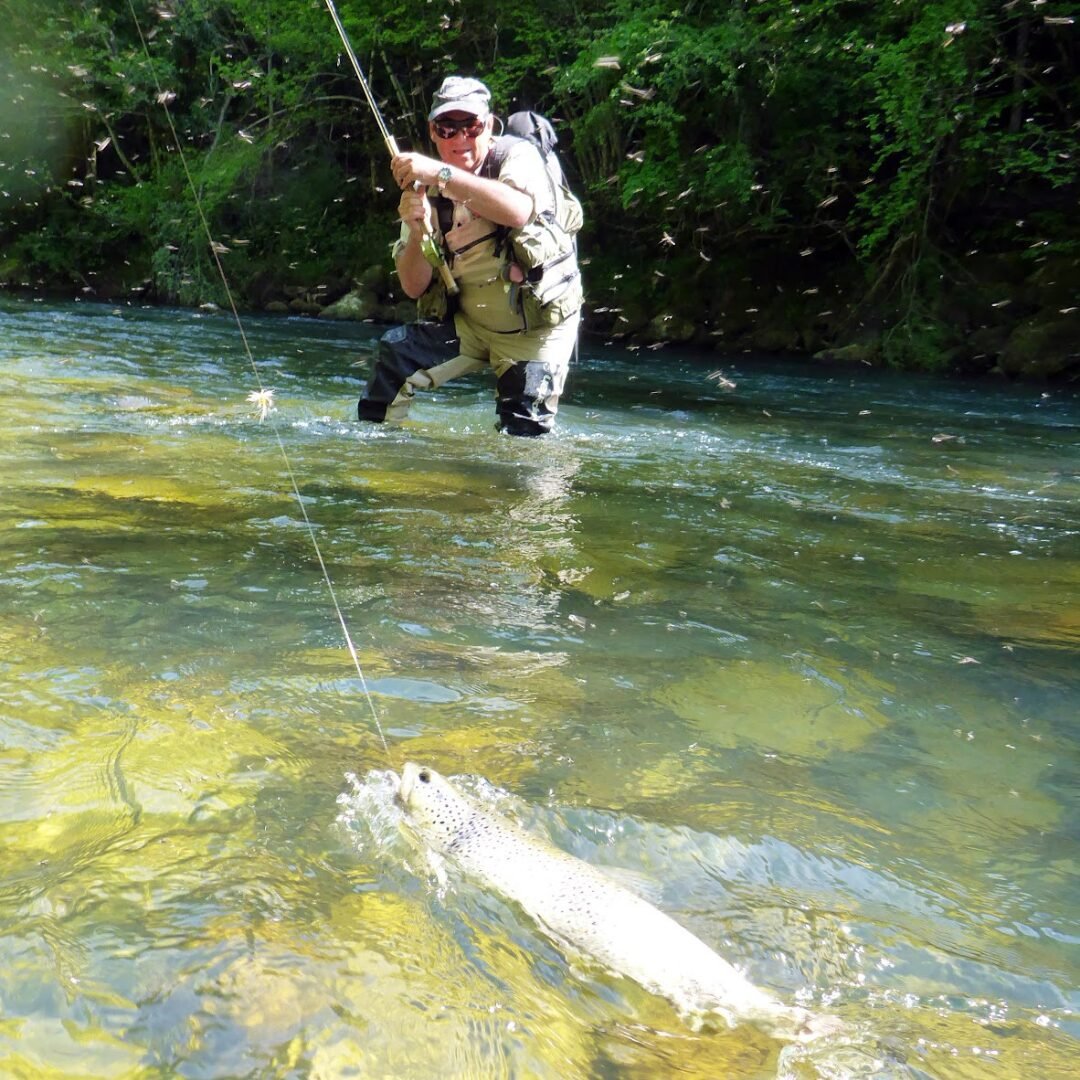 french fly fishing