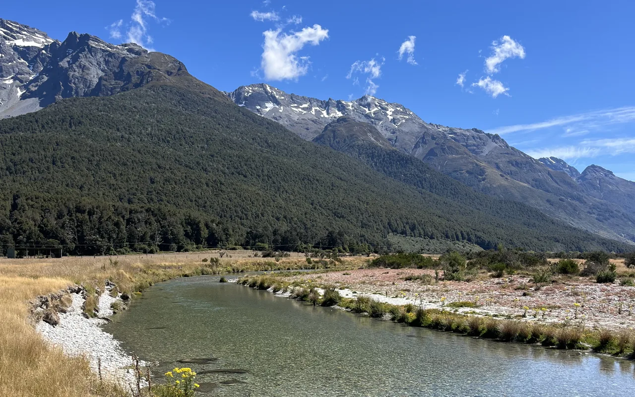 Angler with a trophy brown trout, mountains behind, New Zealand