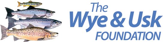 Wye & Usk Foundation