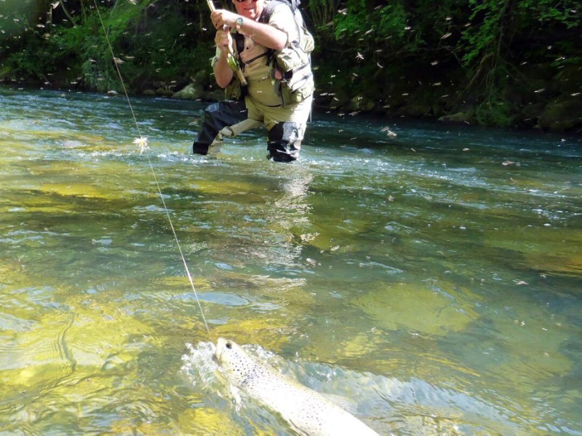 french fly fishing