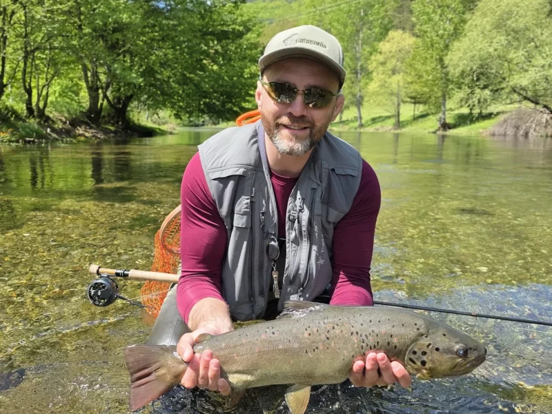bosnia-brown-trout-sunny-river