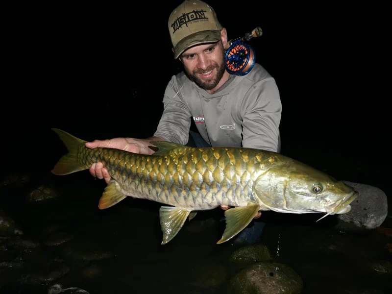 india-gallery-trophy-golden-mahseer