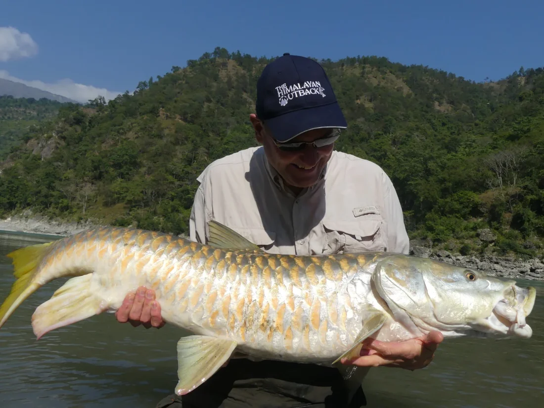 india-included-big-golden-mahseer