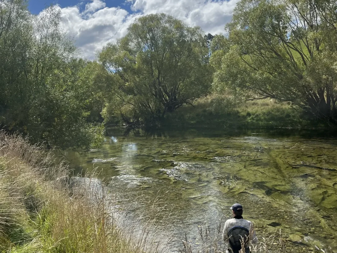 nz-angler-wading-bush-lined-river-097