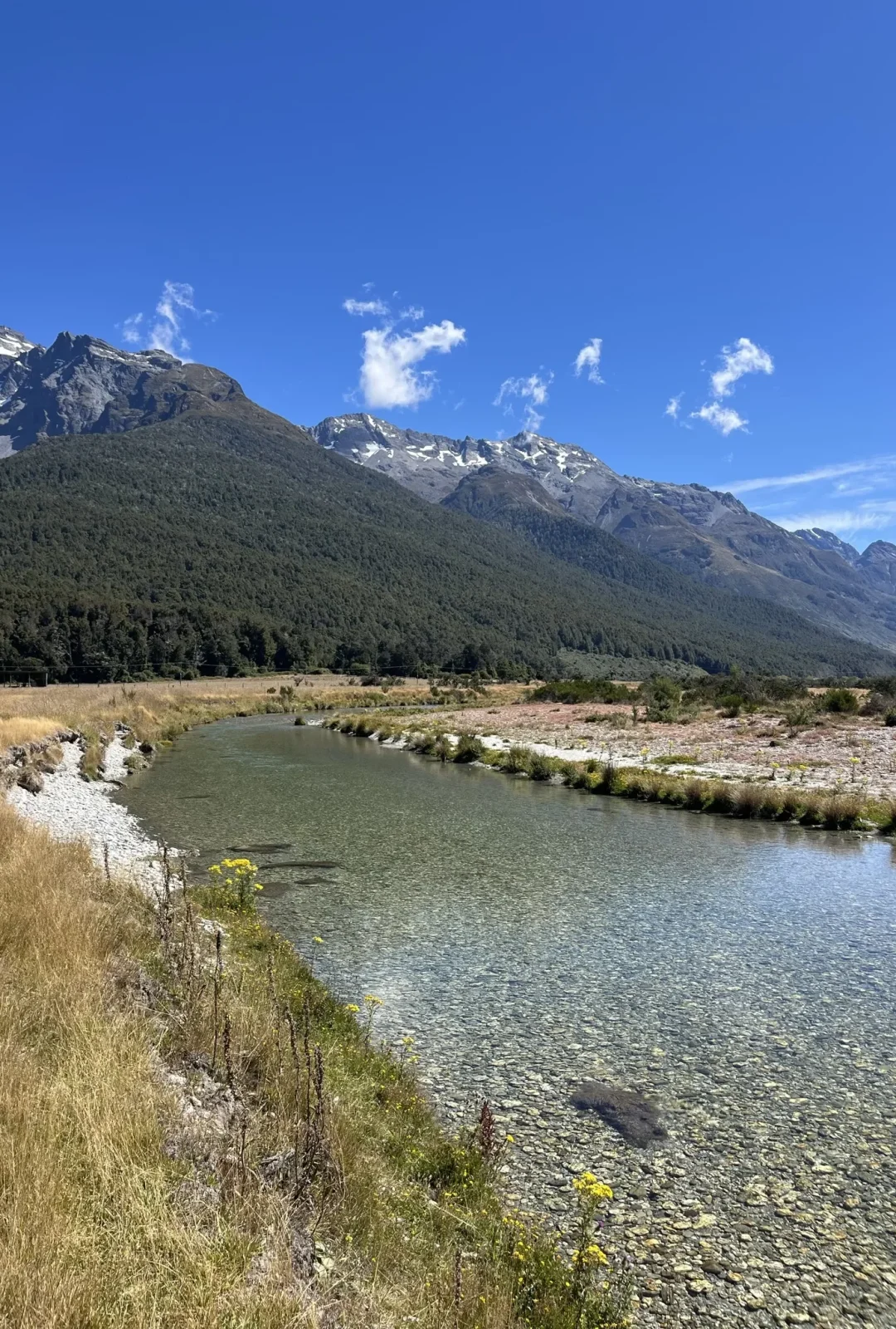 nz-clear-braided-river-mountain-backdrop-095