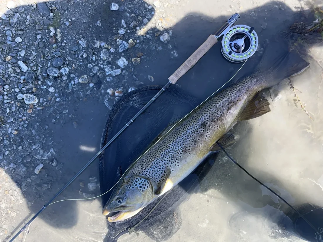 nz-qt-included-brown-trout-rod-reel